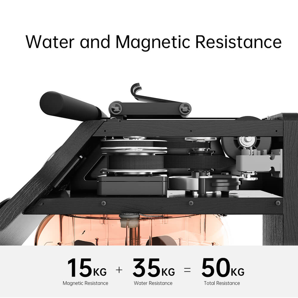 WM10 2-in-1 Foldable Water Rowing Machine