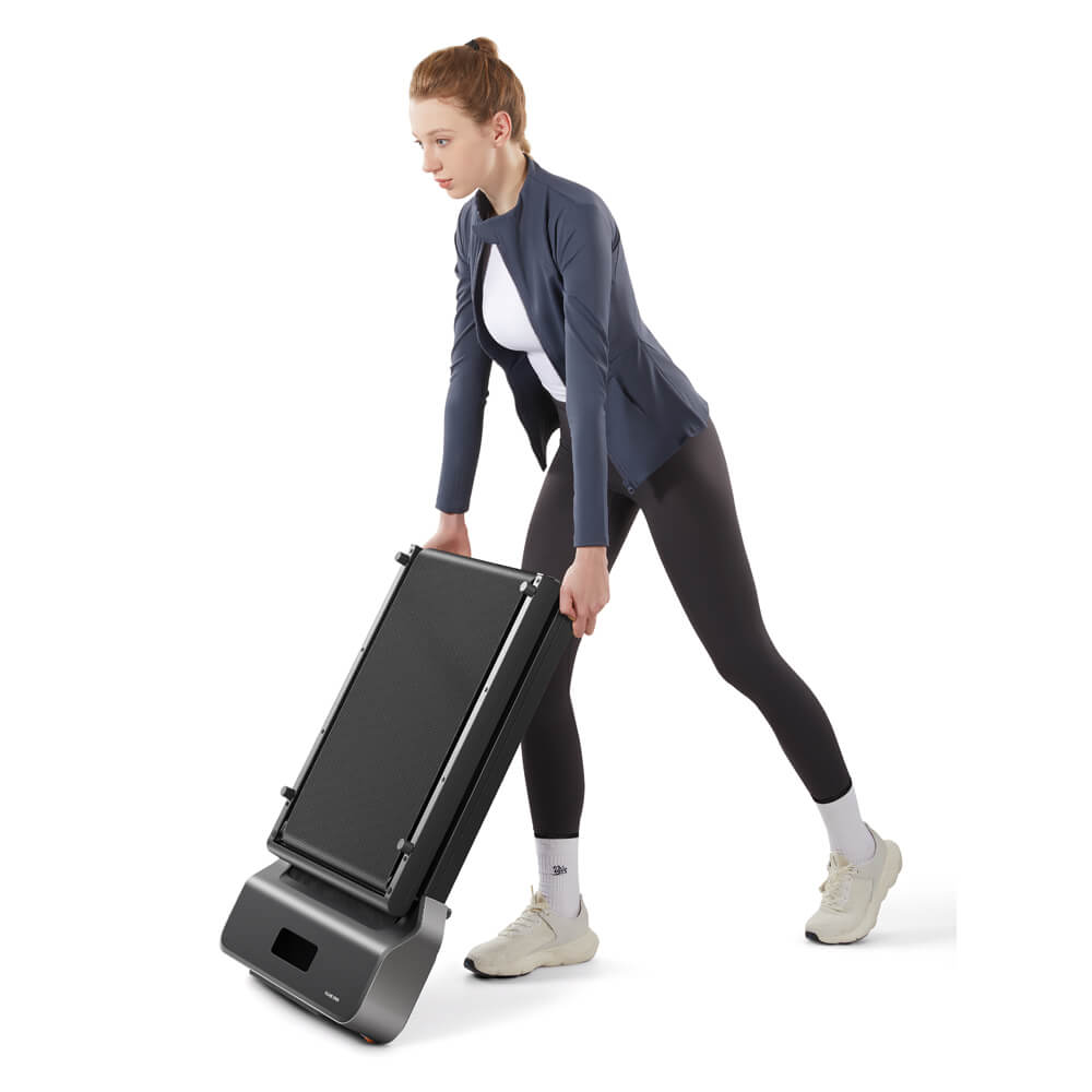 Z1 Economy WalkingPad Treadmill