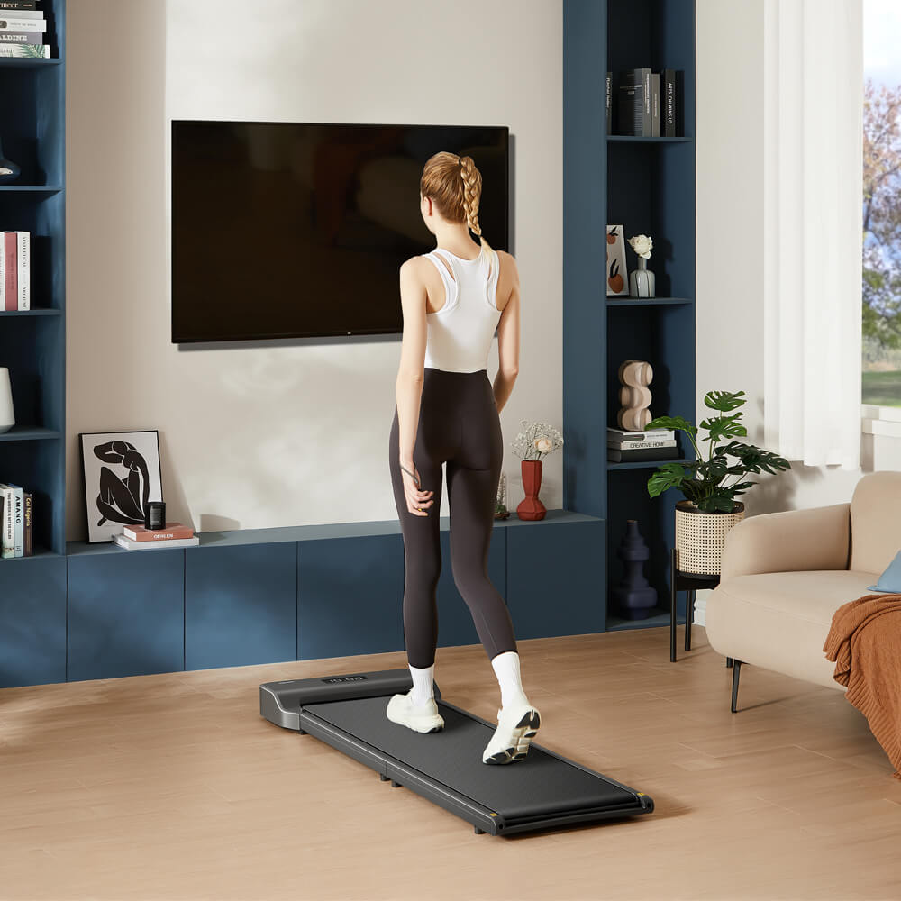 Z1 Economy WalkingPad Treadmill