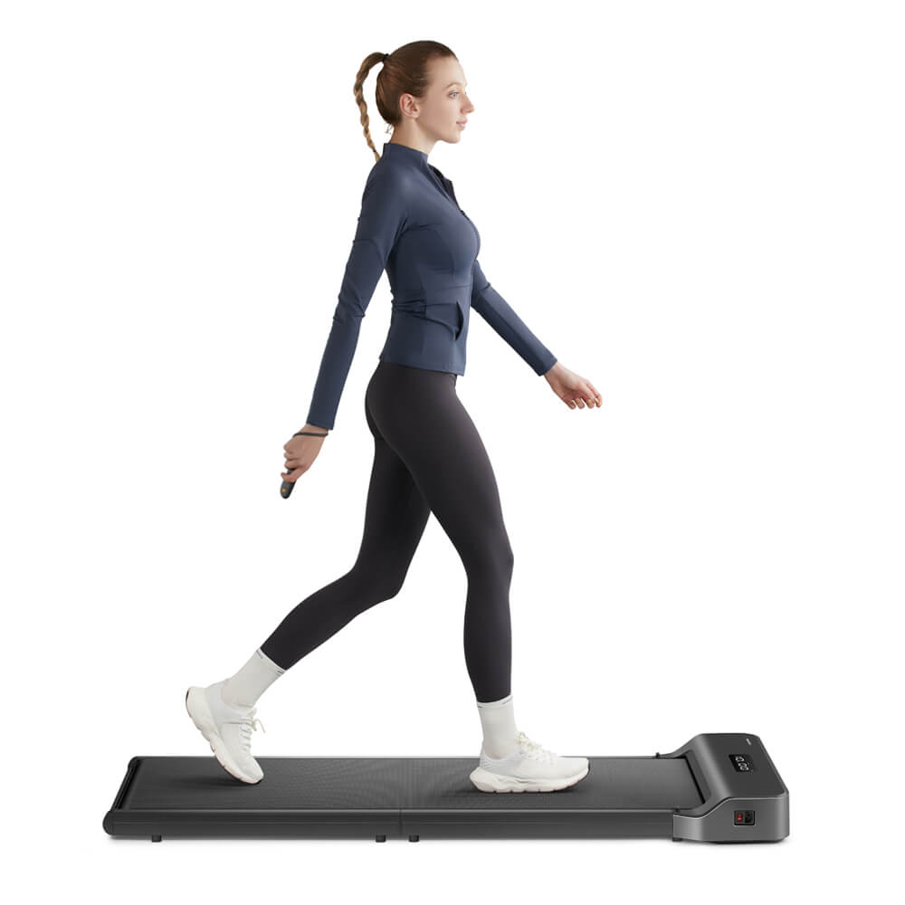Z1 Economy WalkingPad Treadmill