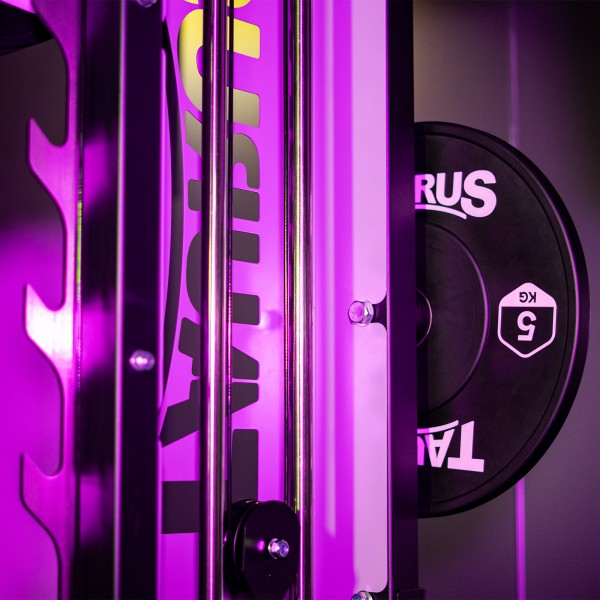 MS60 Elite Trainer - Multi Function Gym Rack System