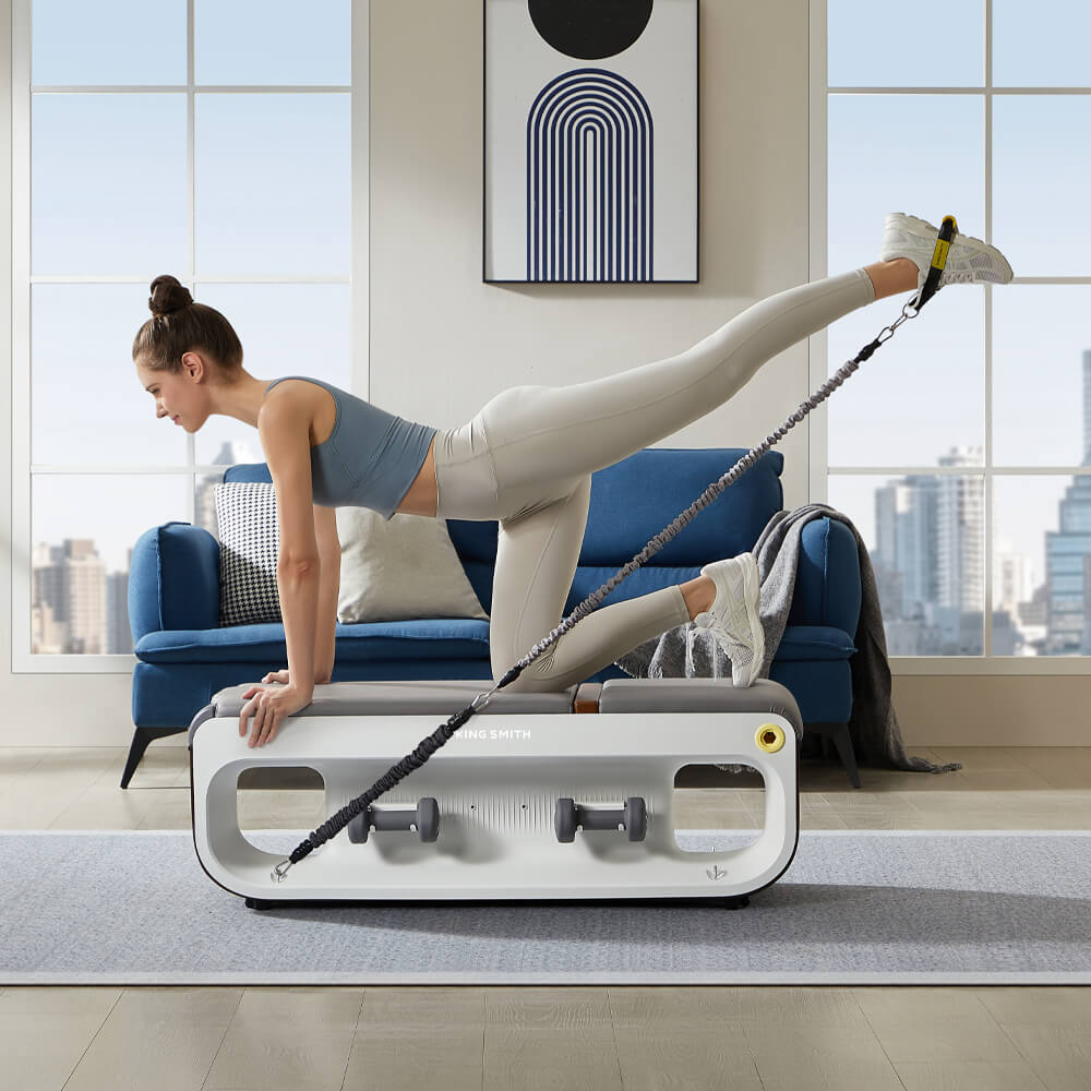 Multifunctional Gym Bench