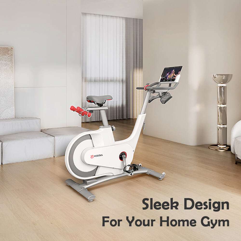 Yesoul V1 Magnetic Spin Bike