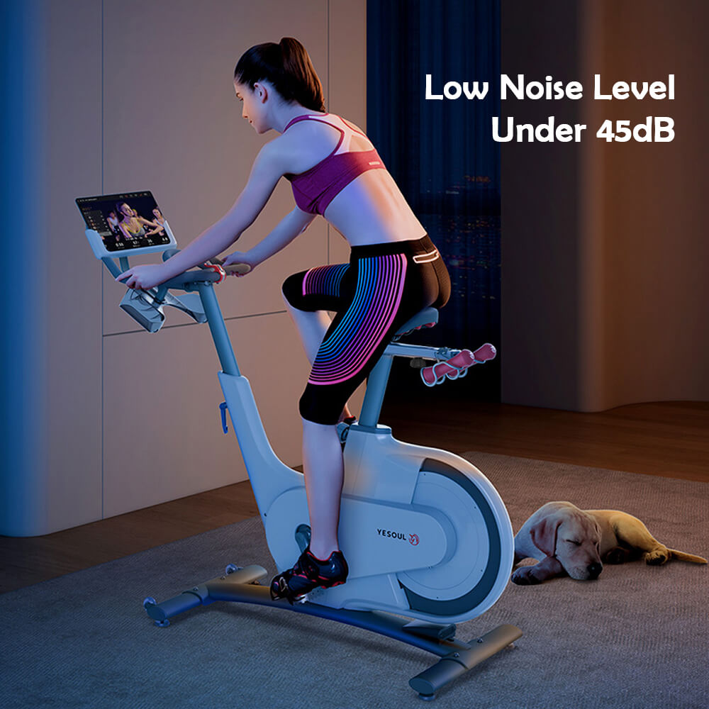 Yesoul V1 Magnetic Spin Bike